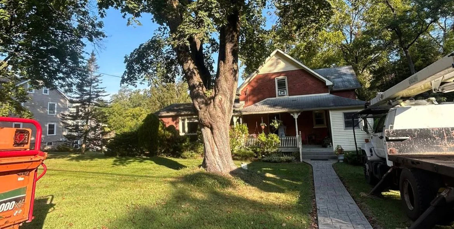 24/7 Emergency Tree Removal Services in Chester County, PA