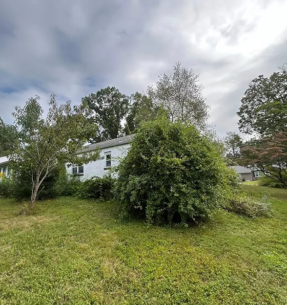 24 7 Professional Tree Service in Morgantown PA 560 by 496