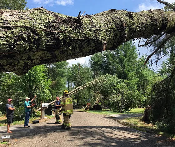 Affordable Storm Cleanup Service in Kennett Square PA 560 by 470