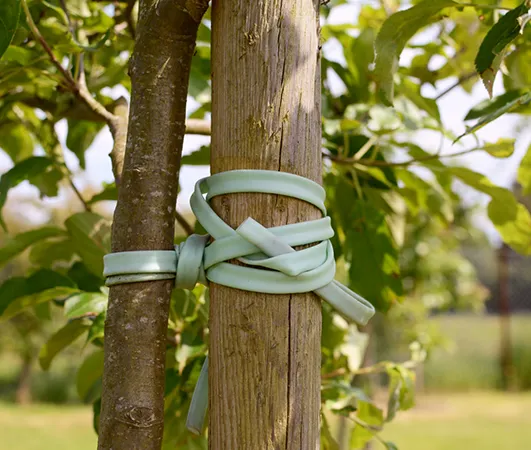 Benefits of Our Services 531 by 450 1