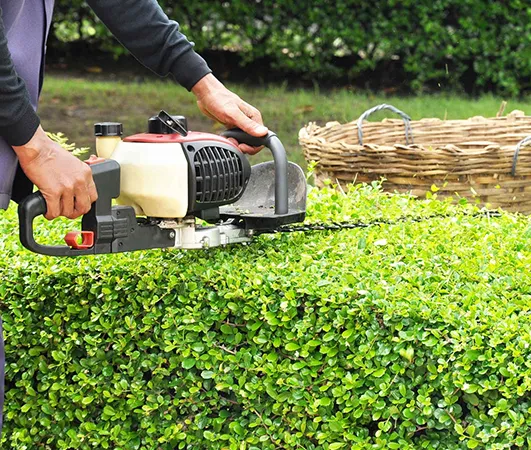 Benefits of Our Services 531 by 450