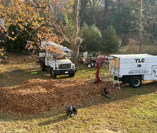 Benefits of Our Services 531 by 450 3