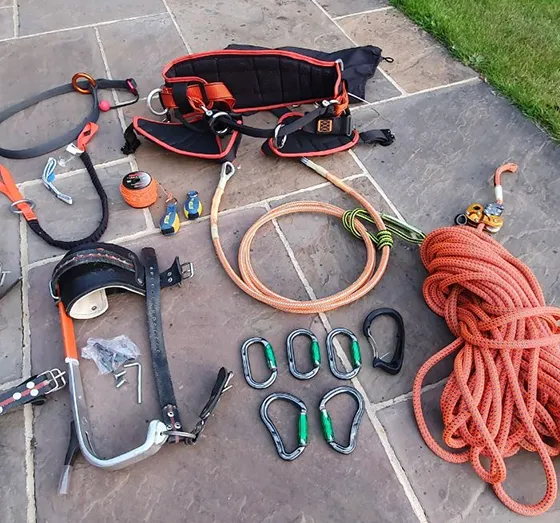 Best Arborist Tree Brace Westchester PA 560 by 523