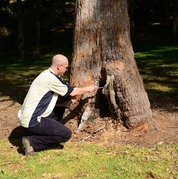 Critical Hazard Detection 610 by 572