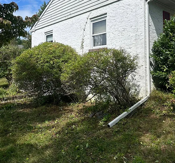 Enhanced Outdoor Aesthetics 560 by 523