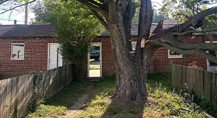 Hedges Trimming 317 by 173 5