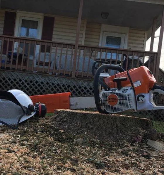 Local Tree Care Company in Coatesville PA 560 by 496