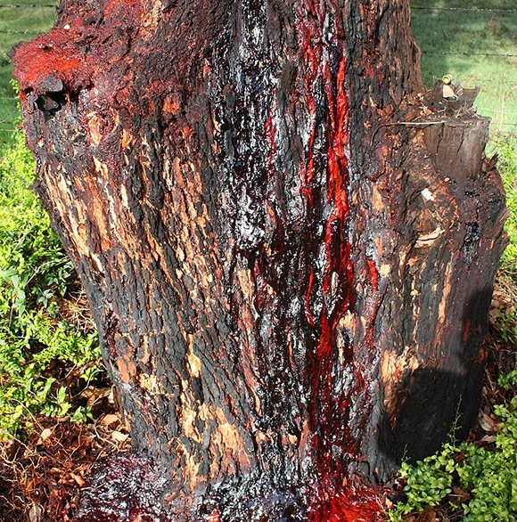 Prevent Damage and Hazards 580 by 586