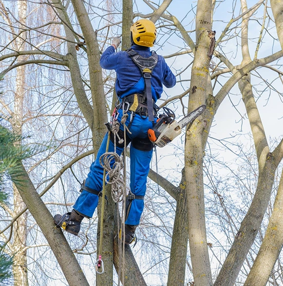 Proactive Damage Prevention 610 by 634