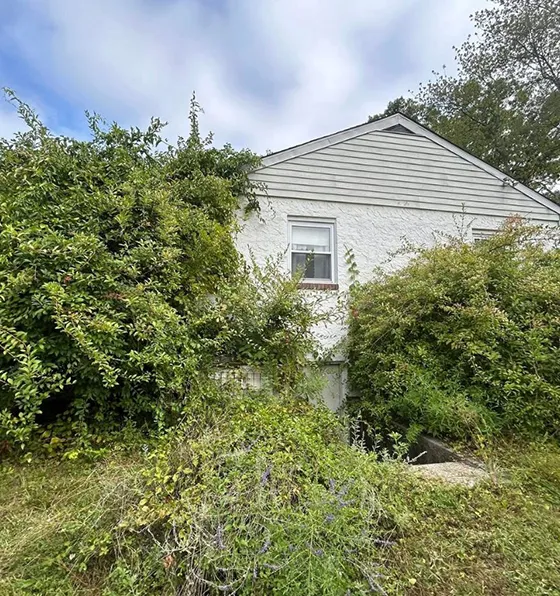 Professional Hazard Tree Services in Morgantown PA 560 by 496