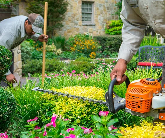 Professional Hedge Care in Morgantown PA 560 by 490