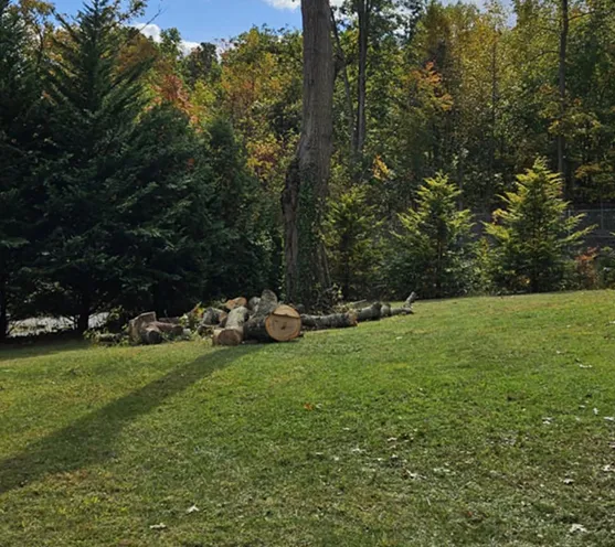 Professional Landscape Hedge Trimming in Thorndale PA 557 by 496