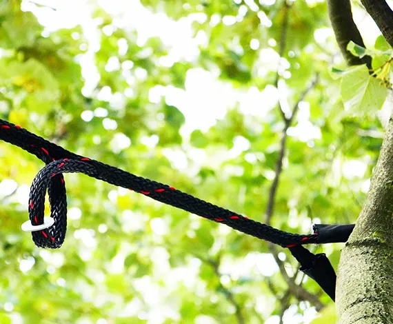 Residential Tree Brace Frasier PA 570 by 470