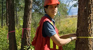 Tree Risk Assessment 317 by 173