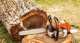 Tree Services 317 by 173