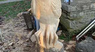 Tree Services 317 by 173 05