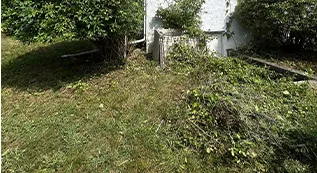 Tree Services 317 by 173 08