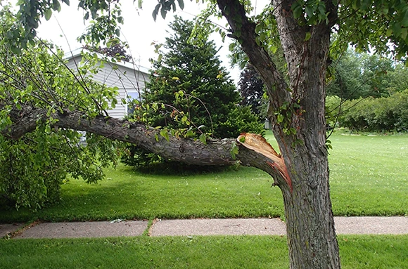 What Our Inspections Include 580 by 430