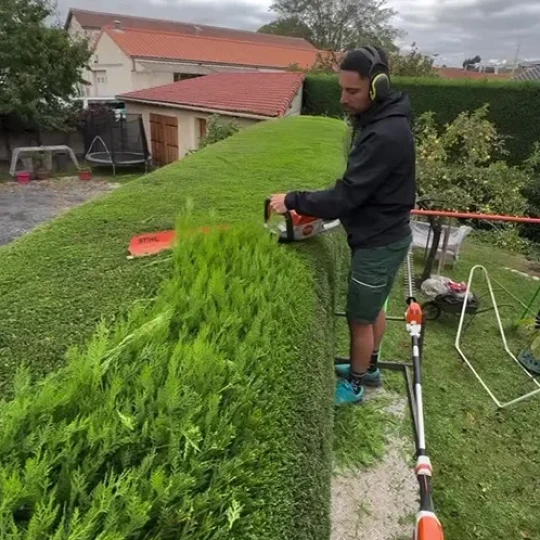 Benefits of Our Expert Trimming 518 by 618