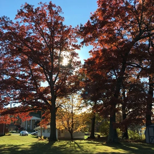 Benefits of Our Service 518 by 642